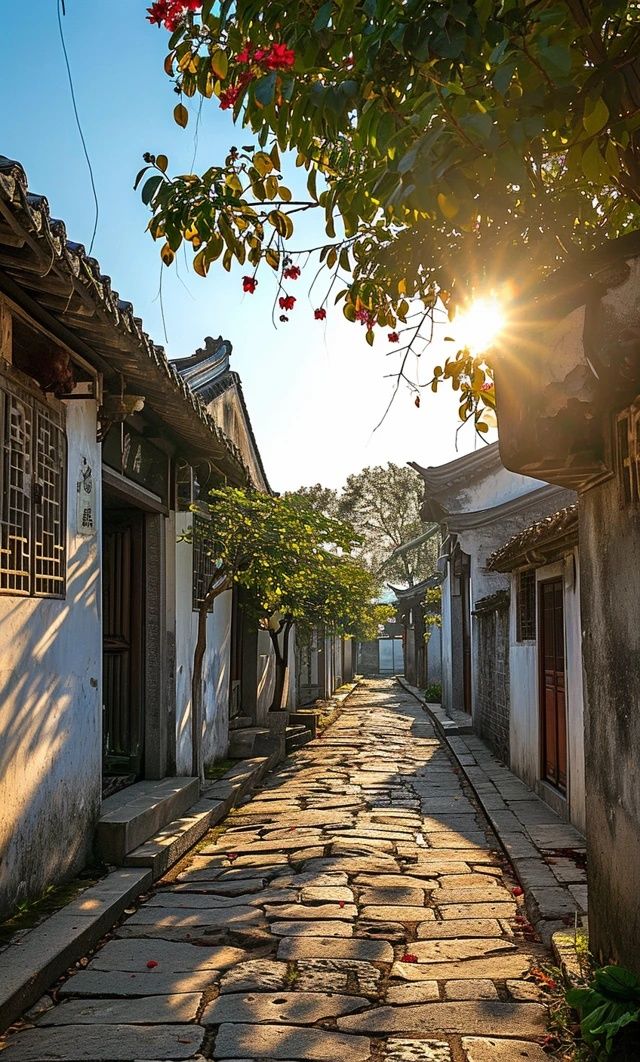 暑期热浪中，沉浸式体验只此周庄古镇之旅