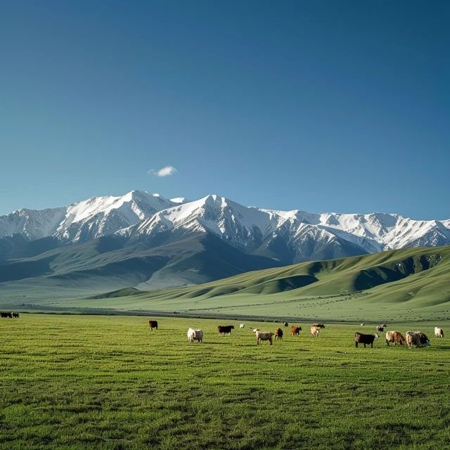 呼伦贝尔夏季旅游攻略：必游草原风光与特色美食