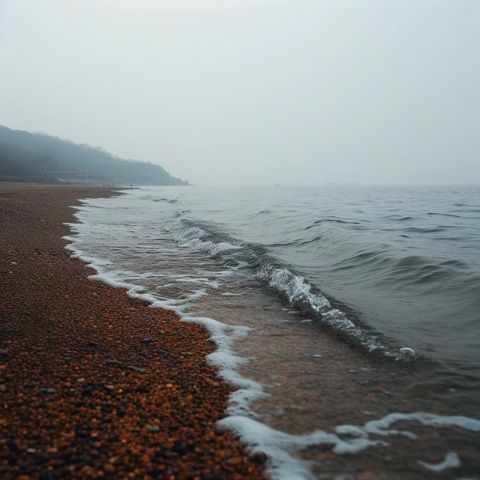 探索山东海岸线：鸡鸣岛深度游指南