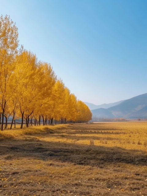 探索京城秋韵：北京香山公园旅游指南