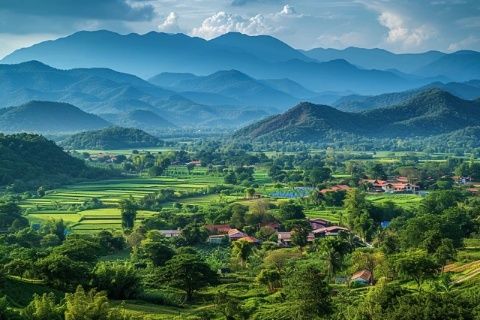 西双版纳旅游最佳季节：热带风情与神秘雨林的四季魅力