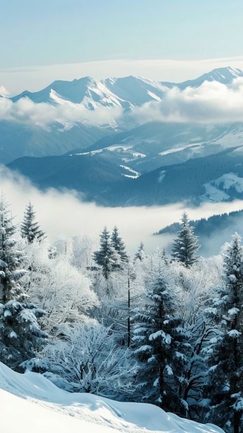 西岭雪山超全旅游攻略(自驾西岭雪山旅游攻略)