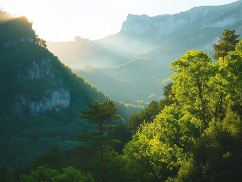 龙虎山风景区介绍——一起来游龙虎山吧！