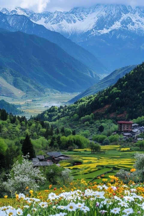 自驾川西秘境：雪山草原与无人区的夏日仙境