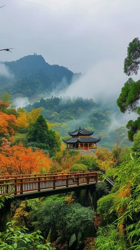 广岛旅游攻略：宫岛神社游与日出国景住宿体验