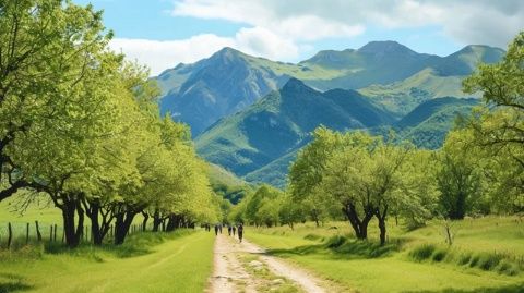 大明山风景区旅游攻略(附门票价格、交通指南)