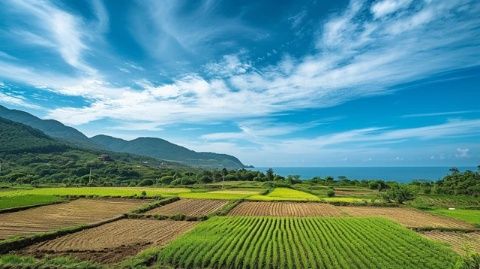 丽水游玩指南：浙江温州旅游必游之地