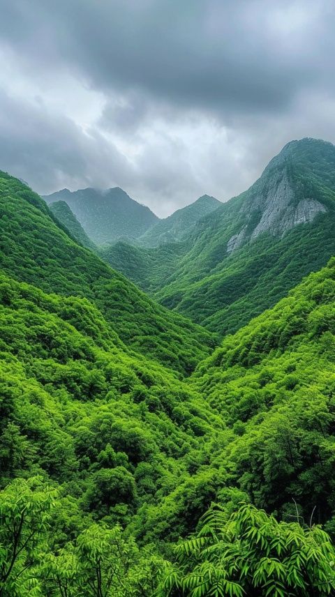 清远旅游全攻略：探秘古龙峡漂流、连州地下河探险与峰林晓镇风情
