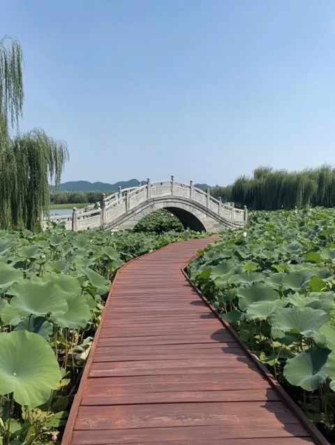 惠州惠城：探索一天内的绝佳旅行体验（惠州一日游实用指南）