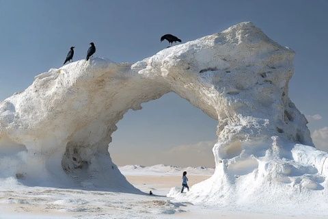 额济纳胡杨林旅游区：金色沙漠中的绿色奇迹——内蒙古阿拉善盟必游景点