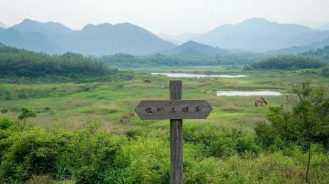 一日游遍雁荡山：详解灵峰、灵岩与大龙湫景区攻略