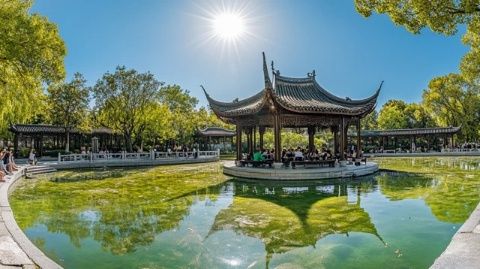 青岛植物园雨中乐趣之旅