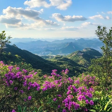 泰山旅游必去景点及最佳路线指南