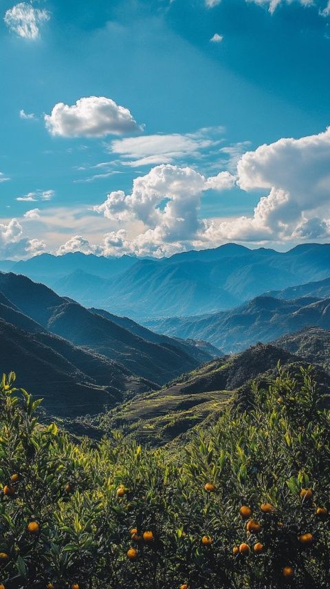 拉萨4天2人旅行指南:美景、烤全羊宴和远眺