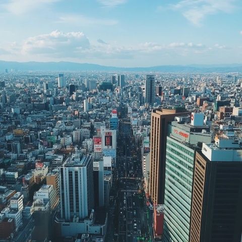 横滨旅行必备：一月轻松游攻略