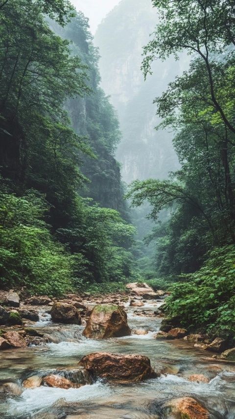 梵净山自助游攻略去梵净山玩怎么安排路线