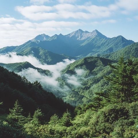 中国四大佛教名山之一：峨眉山，风景秀丽值得一探究竟！