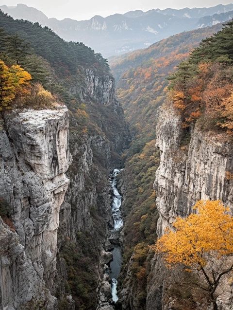 暑期必去的人间仙境缙云之旅：游玩攻略、美食推荐和住宿指南