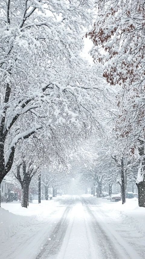 西岭雪山冬日探秘：滑雪、漫步与旅行攻略指南