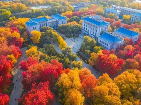 南昌梅岭旅游约玩攻略-南昌梅岭旅游攻略学生