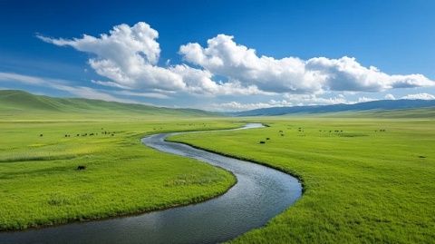 探秘呼伦贝尔：草原、河流与湿地的自然奇景，体验蒙古族文化的深度游攻略