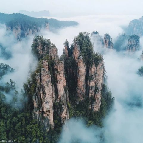 武汉出发庐山两日游超详细攻略！附游玩路线&注意事项