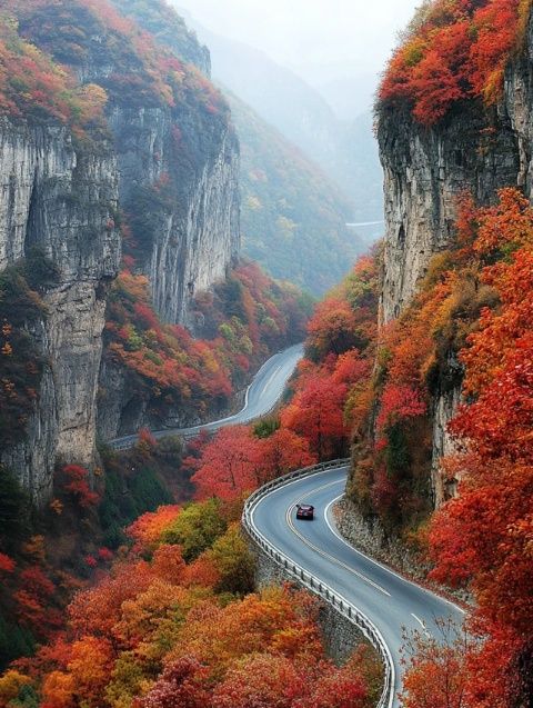 
林州旅游全攻略：探访峡谷美景，体验安阳历史文化 
