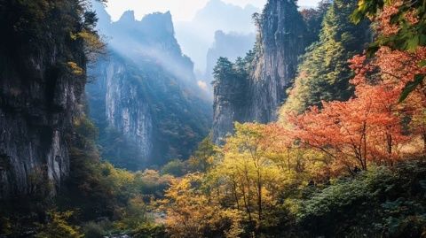 楠溪江三日深度游攻略：畅游楠溪江，尽享山水美景