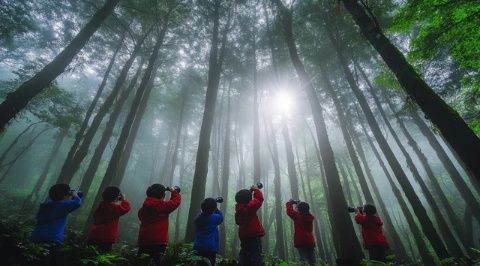 掌握最佳观赏策略：2023年光雾山杜鹃花节游览指南