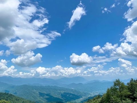 重庆旅行指南：探索仙女山的美丽风光与游玩秘籍