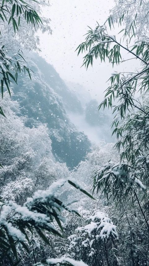 冬日黄山旅游攻略：雪景如画，探索冬季美景与行程安排