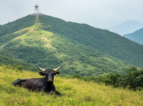 汕头夏日游玩指南：海岛、公园与美食的自驾之旅