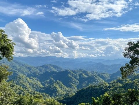 昆明市石林风景区旅游攻略:完美游览指南,实惠建议和最佳时间