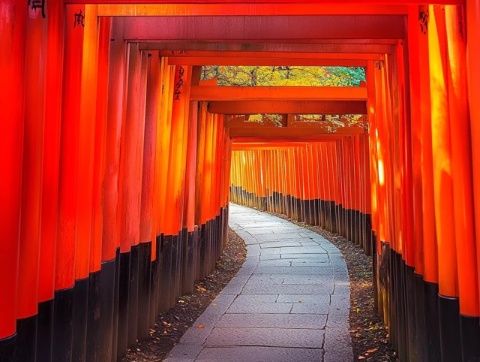 日本自由行必看！超实用旅行小贴士！