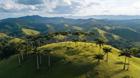 百山祖国家公园：全景游览指南与旅行建议