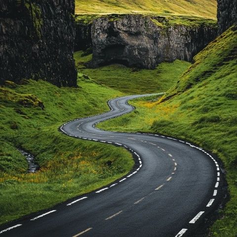 景区路况不佳男子索赔遭拒，双方责任如何分配？