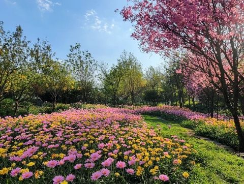 唐家河公园游玩指南:赏花、打猎和情侣之旅