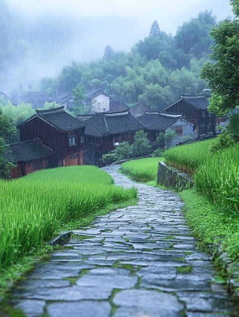 6月去婺源旅游多少钱旺季价格/门票/必玩景点/路线/住宿全攻略