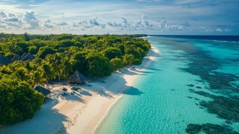 椰风科普岛：探秘海洋奇观，遨游知识海洋，与白海豚同行，体验深海之旅