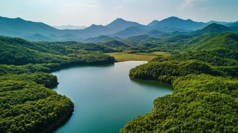 探寻四川宜宾：蜀南竹海与石海美景一网打尽