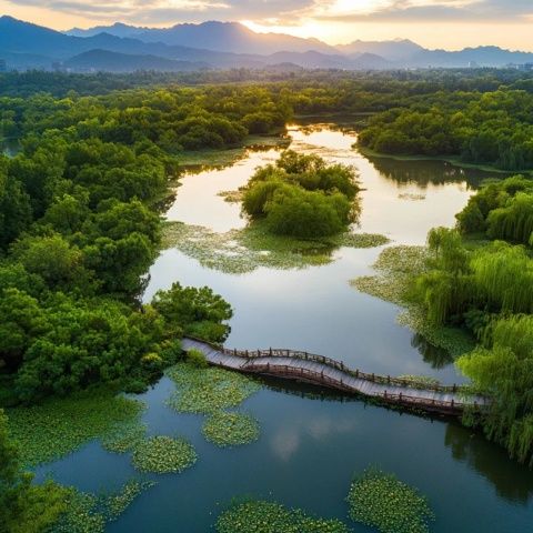 杭州野生动物世界旅游攻略：精华景点路线全览，亲子游必看！