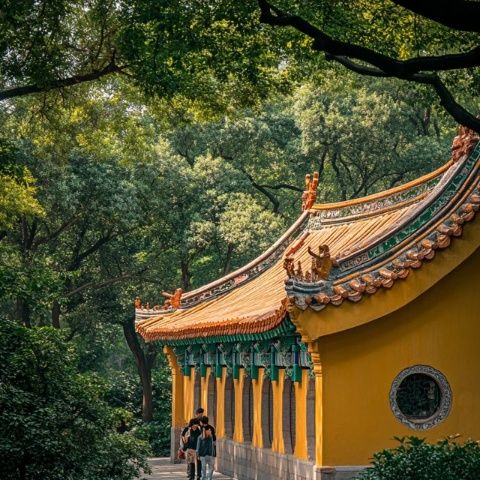 春季摄影游记：天台山国清寺必拍美景与攻略