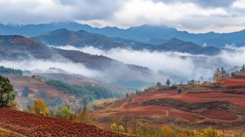 云南的气候适宜旅游吗？