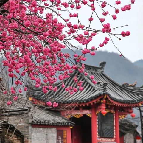 湖南永州旅游全指南：最佳季节、交通、景点、美食与住宿建议