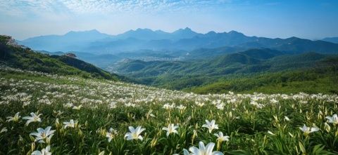 齐云山旅游攻略指南