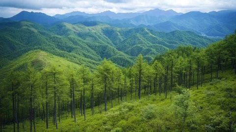 明月山一日游攻略