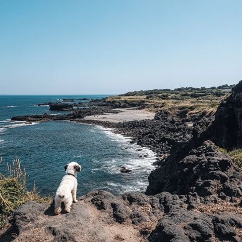 江浙沪游客必看：济州岛东线旅行攻略