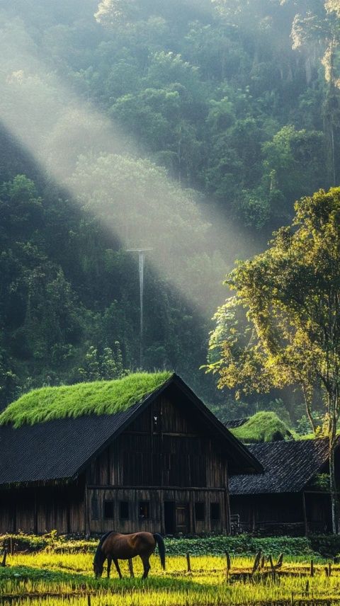 程阳八寨景区旅游攻略_游览程阳八寨景区