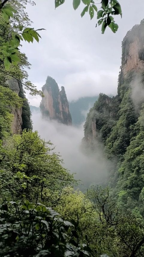 
长沙到张家界一日游指南：如何从长沙出发前往张家界最快？