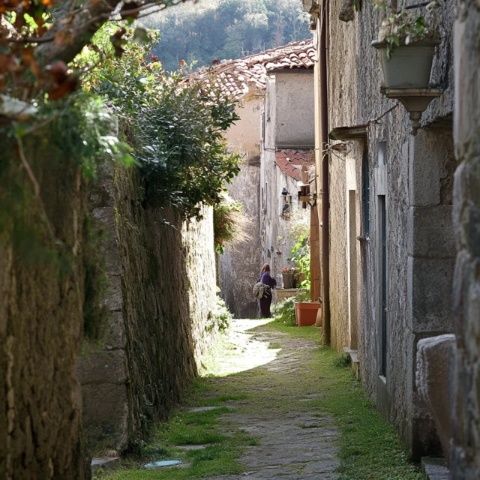 大理旅游攻略：交通景点美食住宿与游玩路线推荐